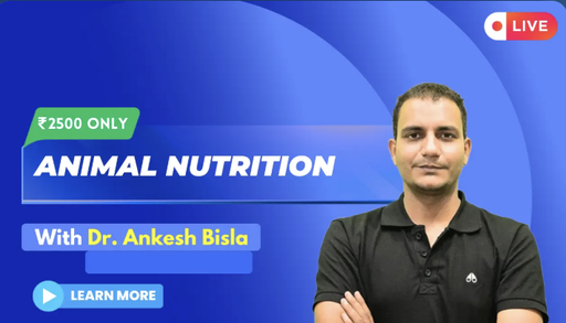 Animal Nutrition