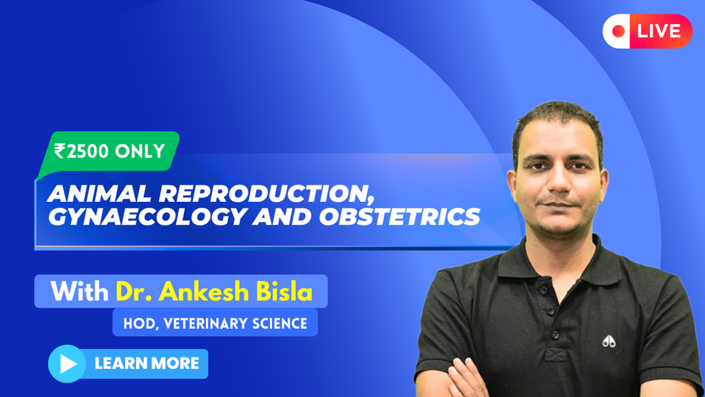 Animal Reproduction
